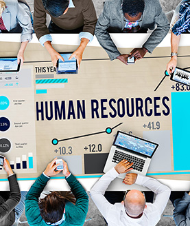 human-resources