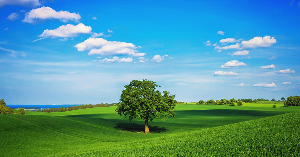 Master per Laureati in Ingegneria per l’Ambiente e il Territorio