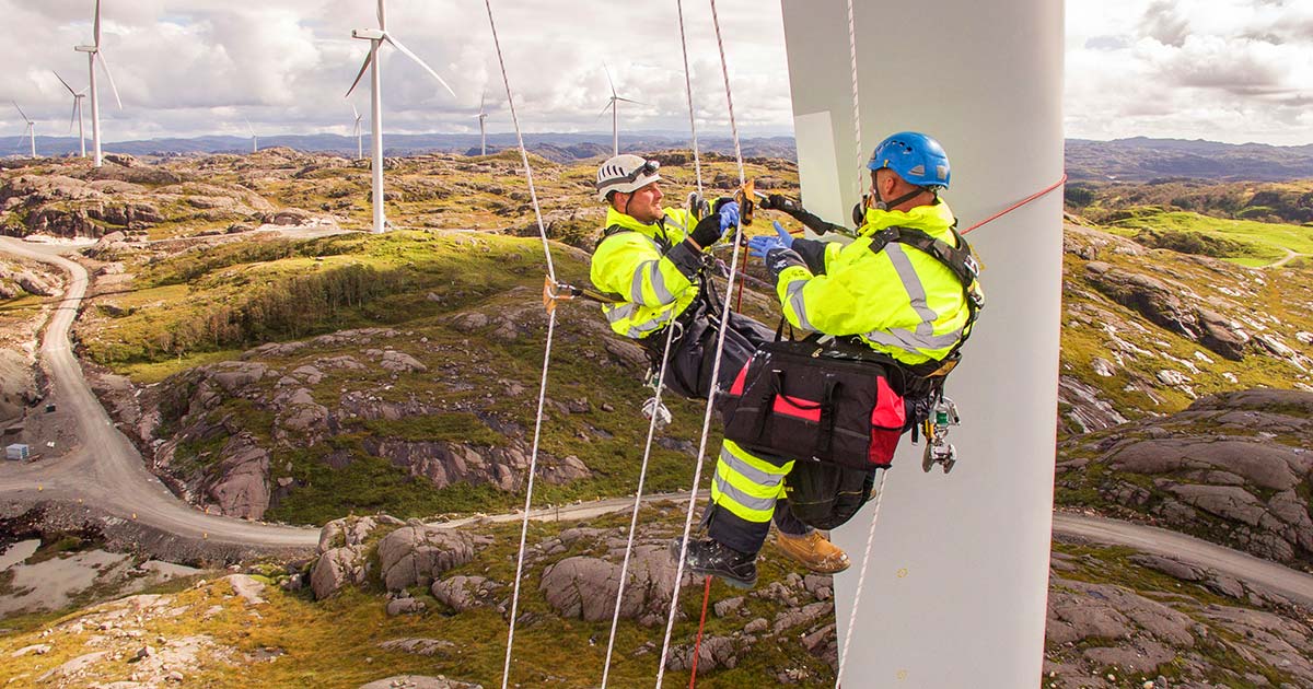 L'Energia eolica fornisce il 14% dell'elettricità europea