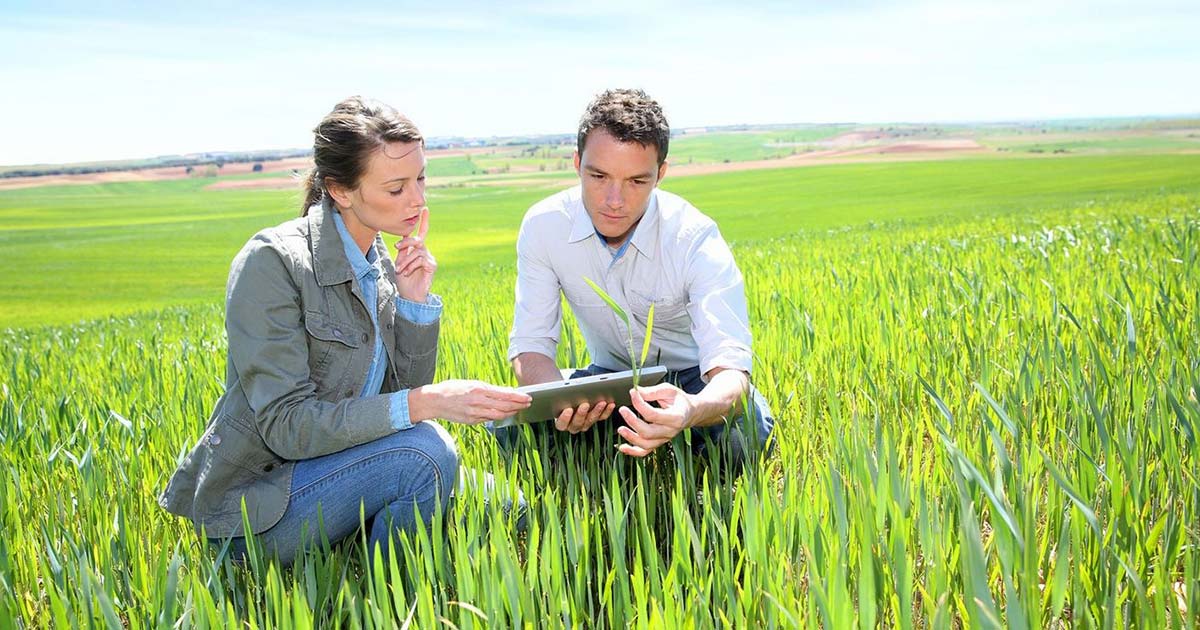 Green Manager: Lazio finanzia progetti a tutela dell’ambiente