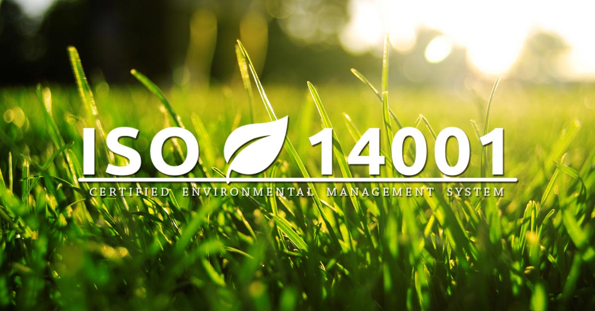 Audit Ambientale: La Prestazione Ambientale secondo la ISO 14001