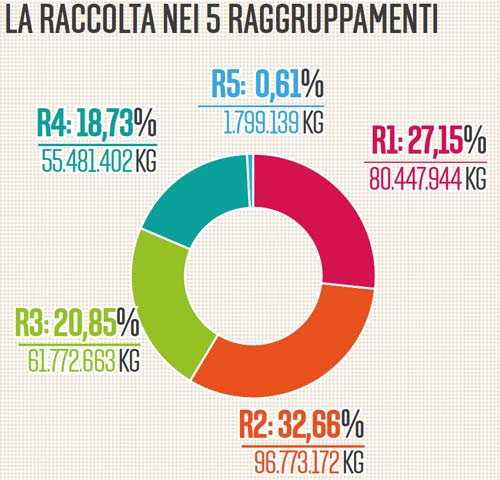 raee 2017 raccolta 5 raggruppamenti grafico