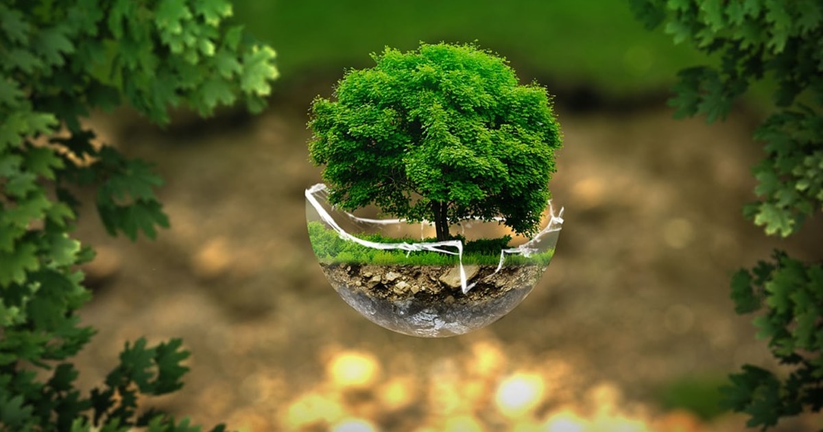 Sostenibilità ambientale, misure e obiettivi verso uno sviluppo sostenibile