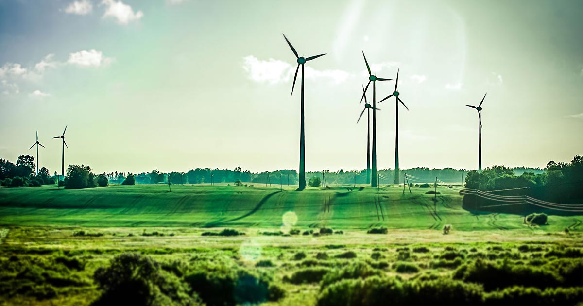 Cos’è la green energy: statistiche Europa, soluzioni, lavoro
