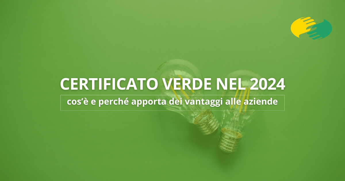 Certificato verde nel 2024: cos’è e perché apporta dei vantaggi alle aziende