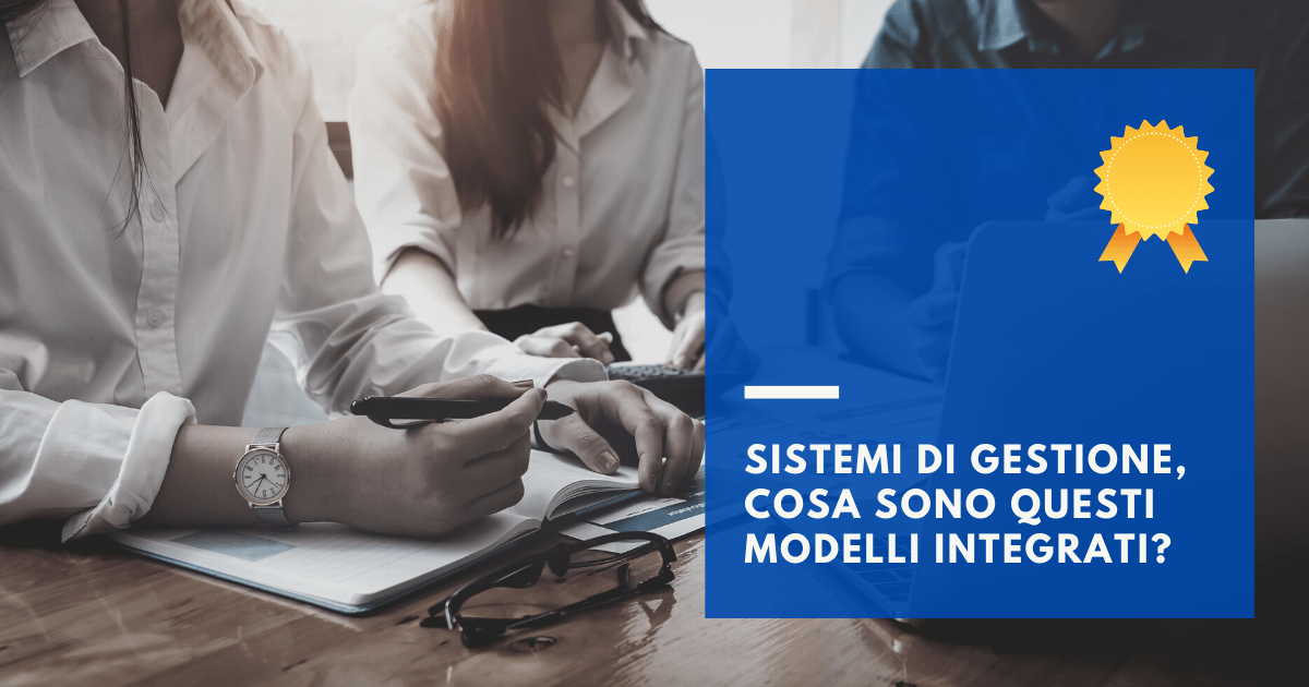 Sistemi di gestione, cosa sono questi modelli integrati?