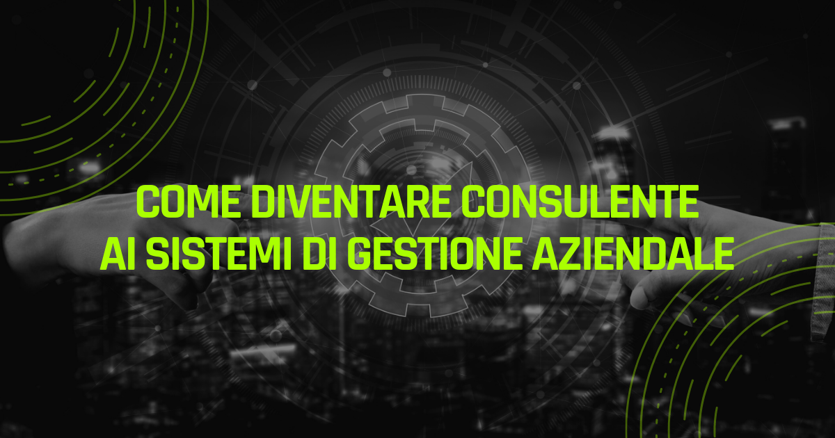 consulente ai sistemi di gestione aziendale