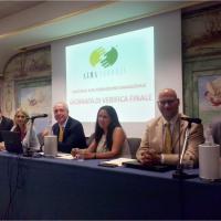 Cam01646